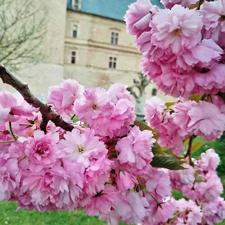 Confort * Bournazel (Aveyron)