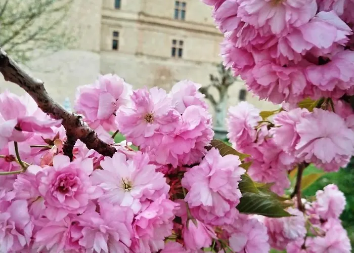 Confort * Bournazel (Aveyron)